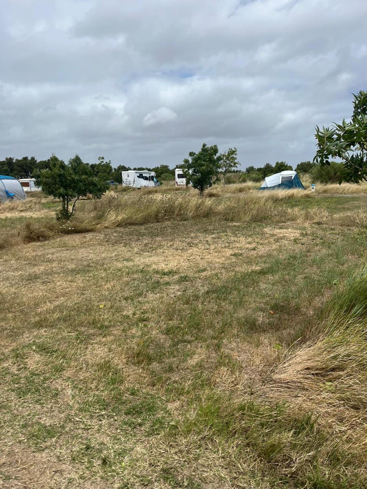 Camping Animal King Esnandes Eksteriør billede