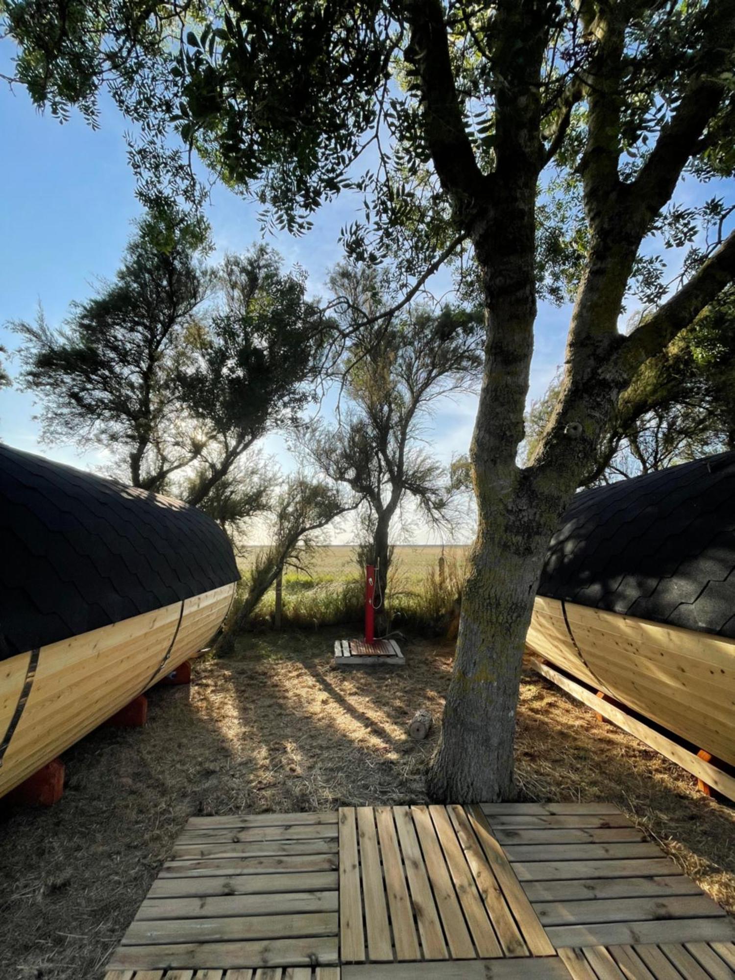 Camping Animal King Esnandes Eksteriør billede